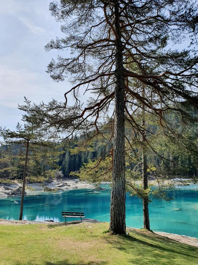 Apartment Stenna Selva An Toplage Flims